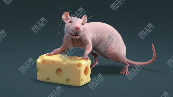 images/goods_img/20210312/Rat Hairless Rigged model/2.jpg